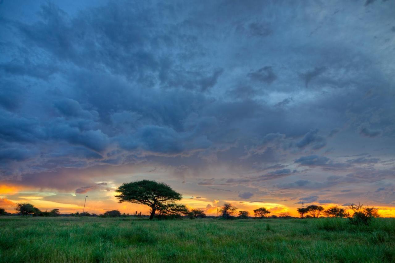 Khoi-Khoi Guesthouse Otavi Buitenkant foto