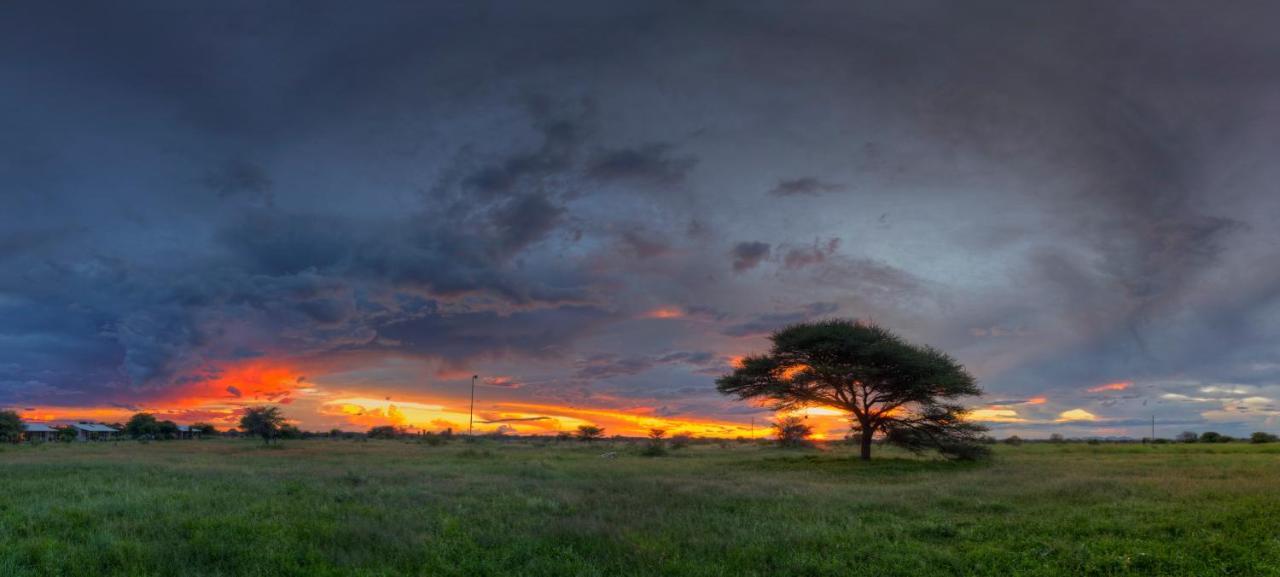 Khoi-Khoi Guesthouse Otavi Buitenkant foto