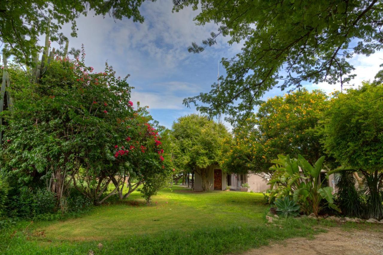 Khoi-Khoi Guesthouse Otavi Buitenkant foto